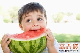 炮灰全家跟着心声吃瓜免费,免费共享欢乐时光