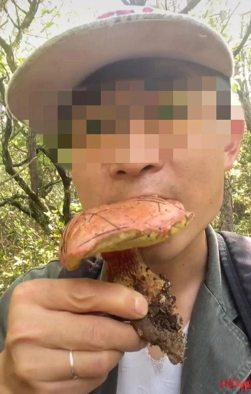 石狮网红吃瓜事件,揭秘网络舆论的风暴与真相  第3张